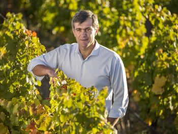 Pablo Cuneo,  Head Winemaker de Bodega Luigi Bosca. Foto: prensa