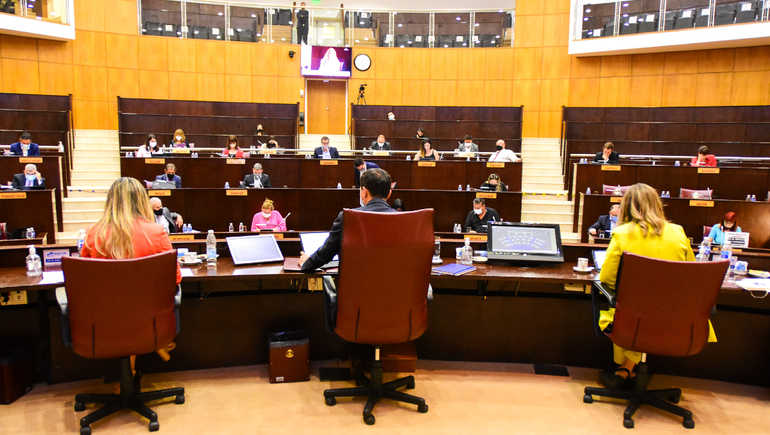 La Legislatura neuquina y un 2021 que dejó temas pendientes