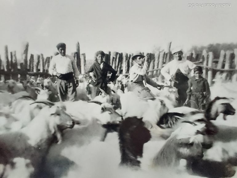 El trabajo con los animales en la isla.