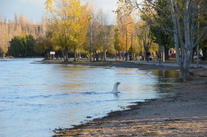 Vuelve a crecer el río Limay por la demanda de energía eléctrica. 