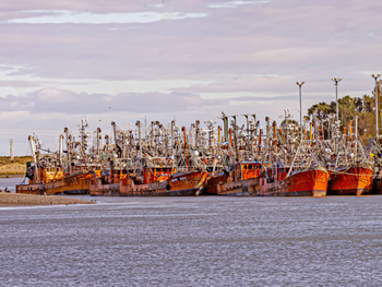 La iniciativa amplía causales de suspensión, establece caducidad automática por quiebra e incorpora un régimen de Ficha Limpia para permisos de pesca en Chubut. Foto: Cholila online. La iniciativa amplía causales de suspensión, establece caducidad automática por quiebra e incorpora un régimen de Ficha Limpia para permisos de pesca en Chubut. Foto: Cholila online.