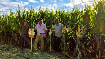 La Patagonia emerge como una nueva frontera agrícola para el maíz: altos rendimientos, más inversiones y miles de hectáreas todavía disponibles para desarrollar bajo riego. | LM Neuquen La Patagonia emerge como una nueva frontera agrícola para el maíz: altos rendimientos, más inversiones y miles de hectáreas todavía disponibles para desarrollar bajo riego.