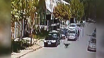 sufrio un violento arrebato cuando entraba a su casa sufrio un violento arrebato cuando entraba a su casa