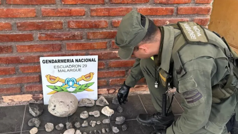 El traslado de fósiles sin autorización está prohibido.