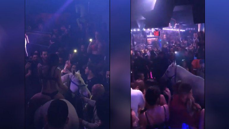 Show y pánico a caballo