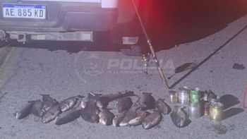 detectaron 11 infracciones por pesca nocturna y secuestraron 18 truchas en un operativo detectaron 11 infracciones por pesca nocturna y secuestraron 18 truchas en un operativo