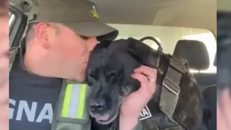 La emocionante despedida a una perra de Gendarmería que se retiró
