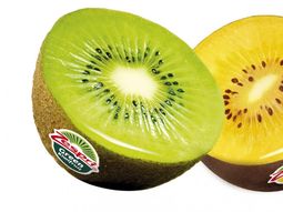 Nuevas variedades de frutas piden ayuda legal para defender sus marcas. Nuevas variedades de frutas piden ayuda legal para defender sus marcas.