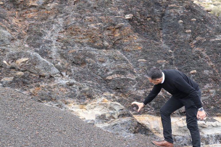 El Norte neuquino tiene su Vaca Muerta en un museo a cielo abierto