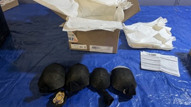 Un traficante chino ocultó 850 tortugas vivas en cajas etiquetadas como juguetes y envueltas en medias.