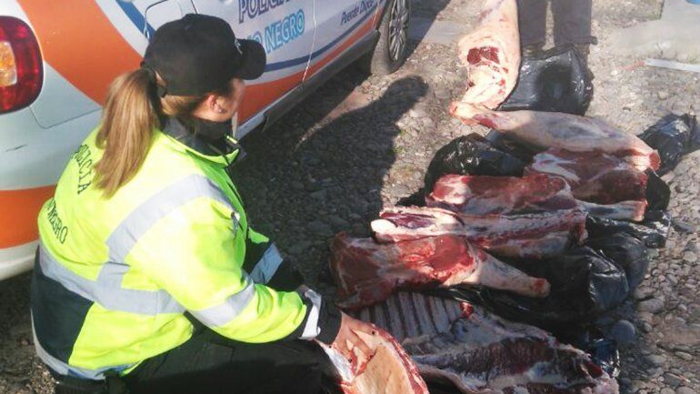 Decomisaron 250 kilos de carne que querían ingresar a Río Negro