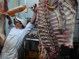 Los últimos datos del Consorcio ABC reflejan una baja sostenida en la faena y la producción bovina, en medio de una menor oferta de hacienda y preocupación en frigoríficos. Los últimos datos del Consorcio ABC reflejan una baja sostenida en la faena y la producción bovina, en medio de una menor oferta de hacienda y preocupación en frigoríficos.