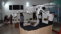 El museo paleontológico lleva ahora el nombre de un descubridor de restos.