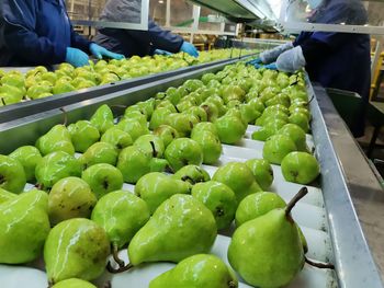 Según datos oficiales, las exportaciones de peras acumulan una baja del 11% en los primeros cinco meses del año, en un contexto de menor producción y oferta limitada.