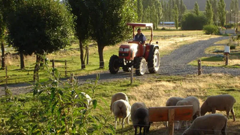 agrotursimo agro-VALIDA 1200-