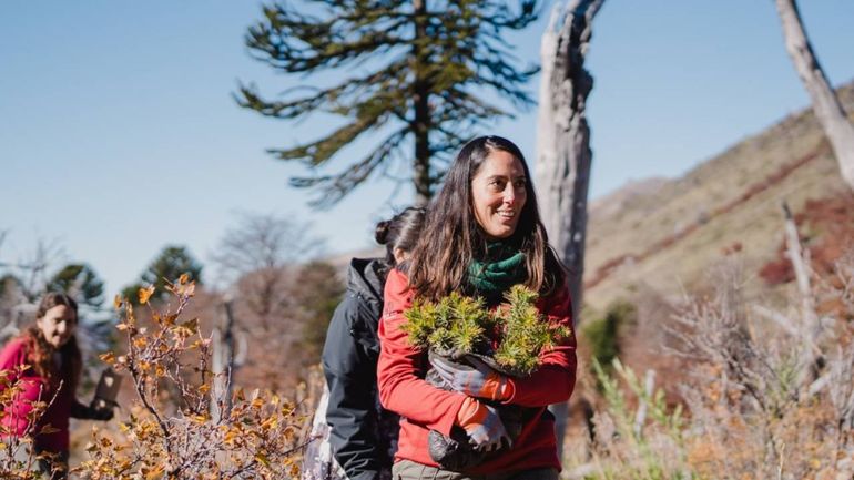 Los 350 voluntarios que hacen patria al restaurar un bosque incendiado al pie del Lanín