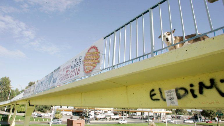 El espacio para colgar los carteles es muy codiciado por políticos