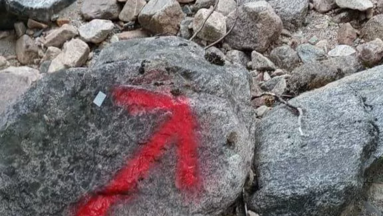 Parques infraccionará por pintadas con aerosol en rocas y árboles