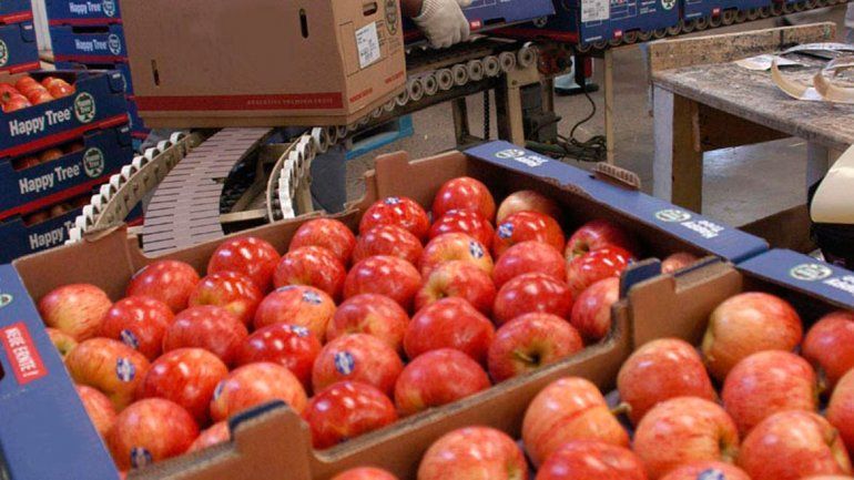 Una buena para los productores neuquinos