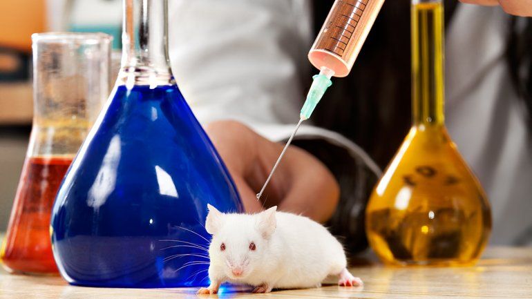 Histórico avance contra el cáncer de páncreas