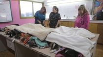 Las castraciones son un éxito en la ciudad de Neuquén.