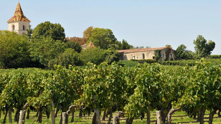 La UE cuenta con más de 1000 tipos de vino con Denominación de Origen Protegida. La UE cuenta con más de 1000 tipos de vino con Denominación de Origen Protegida.