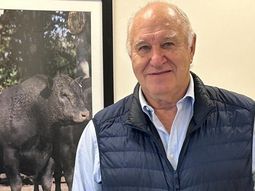 Víctor Tonelli, especialista en mercados ganaderos, vaticinó una mejora para la actividad a partir del próximo año. Víctor Tonelli, especialista en mercados ganaderos, vaticinó una mejora para la actividad a partir del próximo año.
