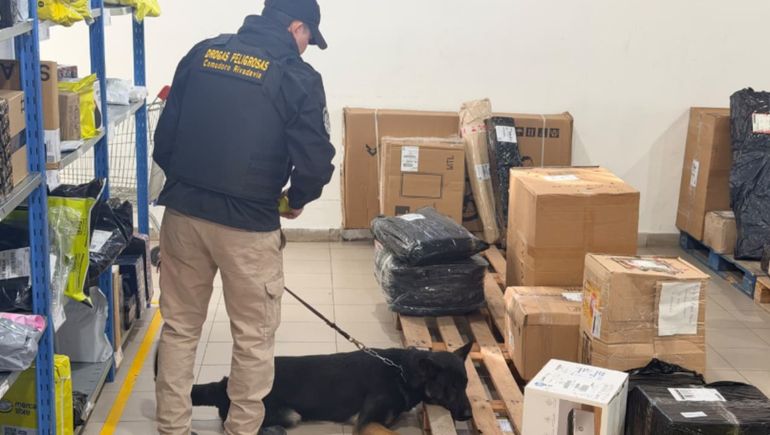 Encomiendas que llegan cargadas a la Patagonia: lo que encontró la policía en una oficina de correo.