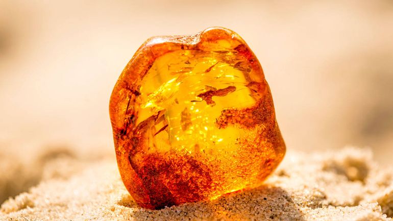 Una pieza de ámbar descubierta en una playa del Báltico. Una pieza de ámbar descubierta en una playa del Báltico.