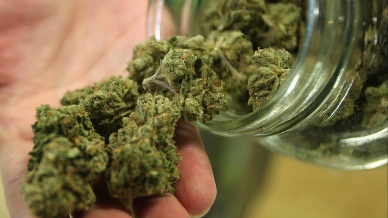 Los uruguayos ya pueden comprar marihuana en las farmacias