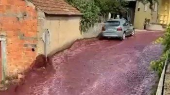 Insólito: el impresionante río de vino tinto en Portugal