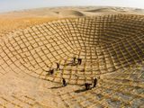 China y su objetivo: detener el avanace del desierto y recuperar tierras para la producción.