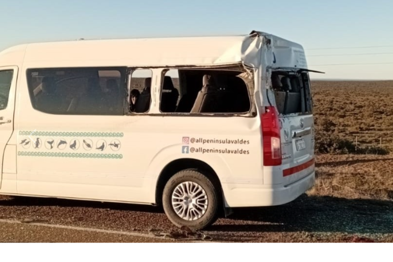 Por el impacto del guanaco, estalló la ventanilla de la combi turística y las astillas causaron heridas en los ojos a dos de sus ocupantes. Por el impacto del guanaco, estalló la ventanilla de la combi turística y las astillas causaron heridas en los ojos a dos de sus ocupantes.