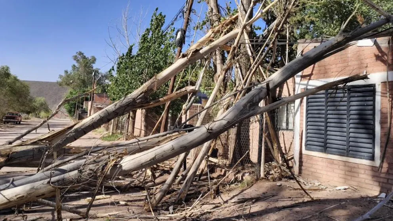 Las ráfagas superaron los 100 km/h en el interior de la provincia. | LM Neuquen Las ráfagas superaron los 100 km/h en el interior de la provincia.