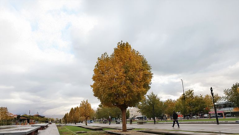 Qué dice el pronóstico para este jueves 4 de diciembre en Neuquén