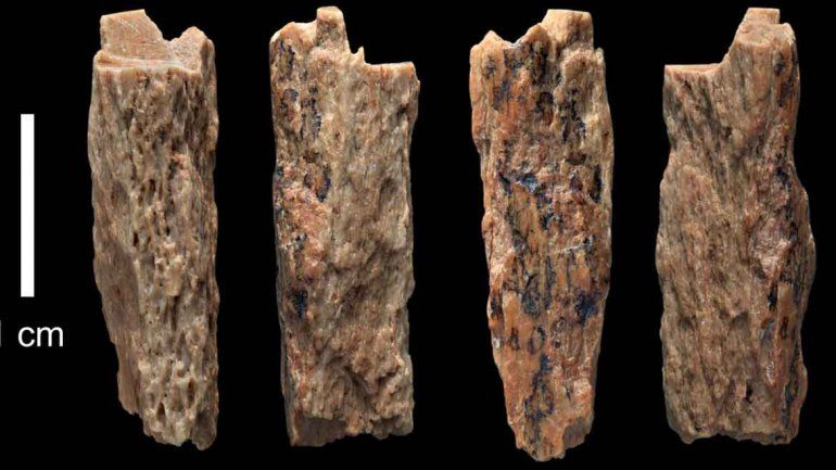 Es un trozo de fémur o antebrazo y contiene el ADN de ambos grupos.