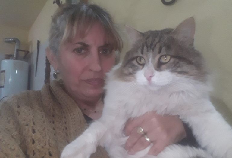 Chiquito, el gato de 9 kilos que no para de crecer