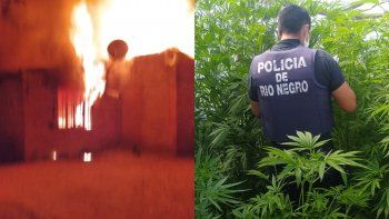 allanamiento, drogas y fuego tras el intento de homicidio allanamiento, drogas y fuego tras el intento de homicidio
