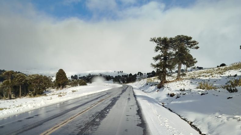 Cierran el paso Pino Hachado y advierten por condiciones adversas en rutas cordilleranas