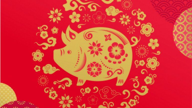 Horóscopo chino: cómo será agosto para el chancho