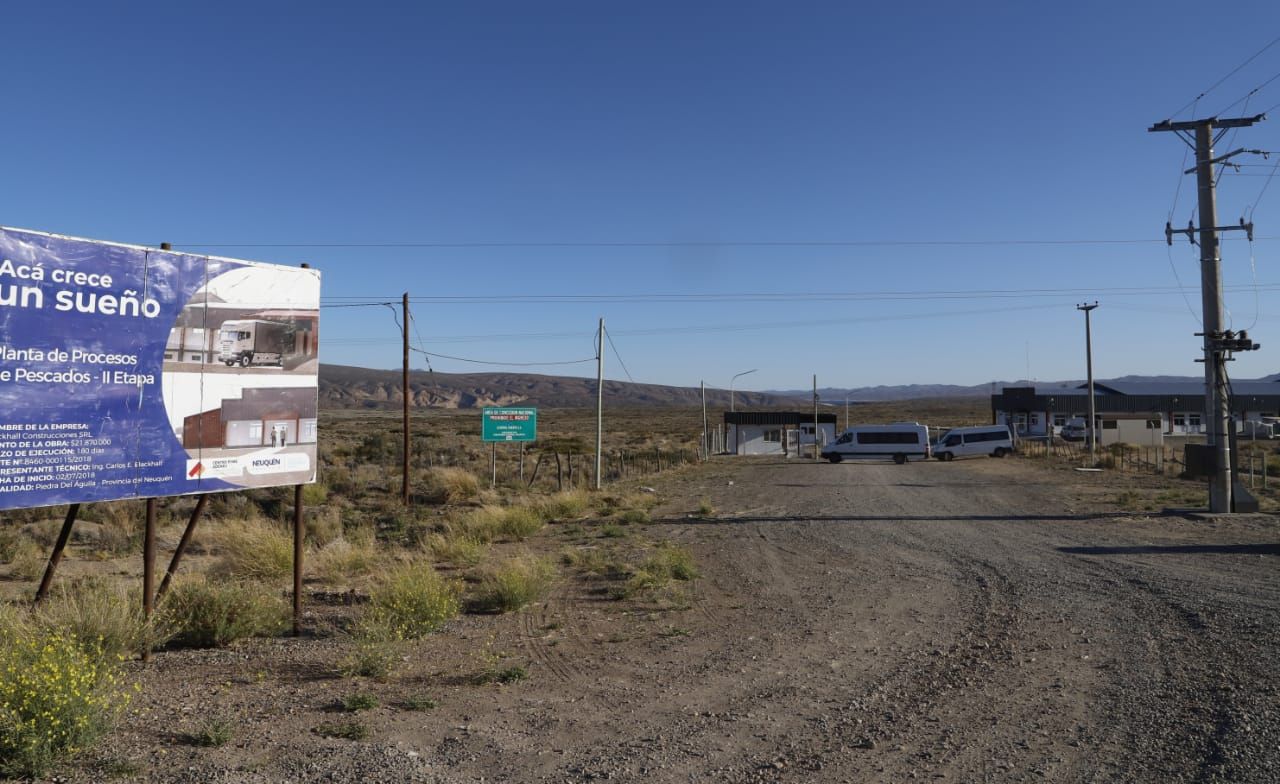 Neuquén inaugura su propia planta de procesamiento de pescados