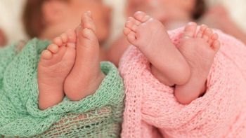 Durante cuatro décadas, el escenario permaneció oculto y fueron criadas por familias que desconocían la verdad sobre su origen. Durante cuatro décadas, el escenario permaneció oculto y fueron criadas por familias que desconocían la verdad sobre su origen.