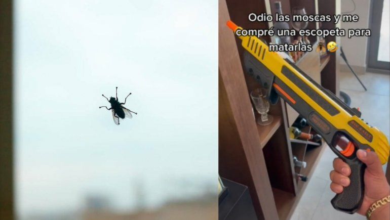TikTok: hombre mostró truco para acabar con las moscas en casa.