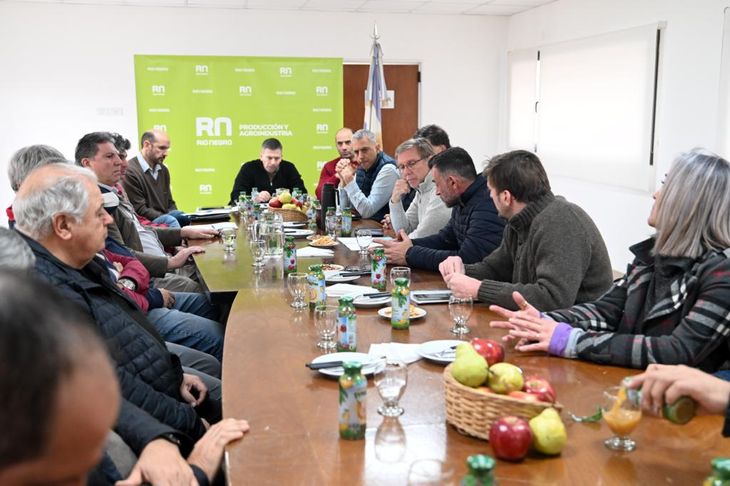 Juan José Bahillo en la reunión con los productores, hoy en la secretaria de Fruticultura de Río Negro.
