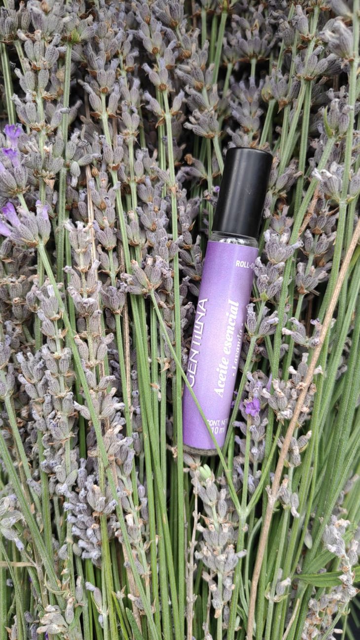 Experiencia sensorial: Durante la floración, el aroma de la lavanda inunda la zona y se convierte en un atractivo turístico para el Valle Medio. Experiencia sensorial: Durante la floración, el aroma de la lavanda inunda la zona y se convierte en un atractivo turístico para el Valle Medio.