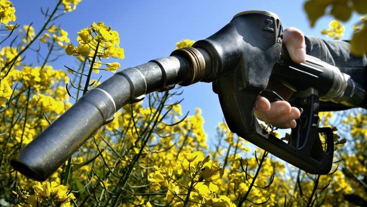Las provincias productoras de biocombustibles quieren licitaciones separadas para pymes y grandes aceiteras.