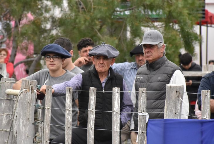 Nicolás Pino, presidente de la SRA, siguió el remata a un costado del ring, junto al presidente de la rural local, Dante Segatori. Nicolás Pino, presidente de la SRA, siguió el remata a un costado del ring, junto al presidente de la rural local, Dante Segatori.