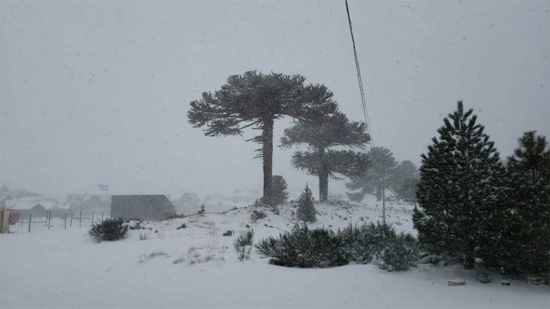 Hasta dos metros de nieve en la bajada del Rahue: piden no circular de noche