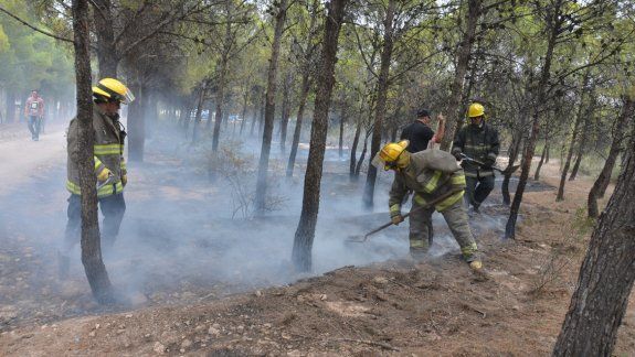 Personal de bomberos, con la colaboración de vecinos, trabajó para extinguir las llamas en el bosque de Parque Norte.