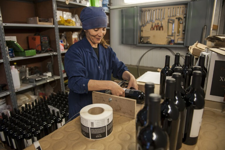 El sector industrial neuquino está conformado por un conjunto heterogéneo de empresas. Foto: INTA. El sector industrial neuquino está conformado por un conjunto heterogéneo de empresas. Foto: INTA.